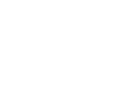 Due South Logo (no tagline) copy